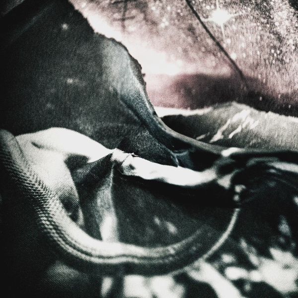 An Immutable Law album artwork